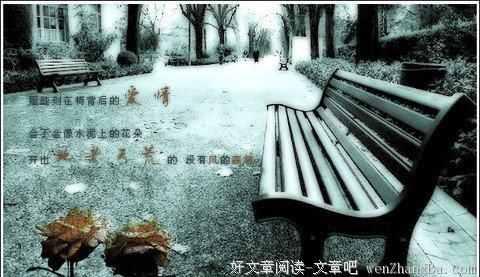 最新的《看见》经典句子