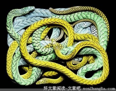 关于惊诧的语句