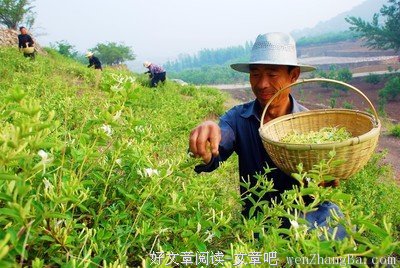 中国人要香起来！