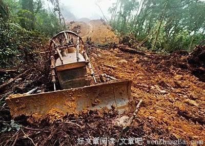 她裸辭、閃婚、允許女兒不上學，在雨林里生活了十八年。傾其所有