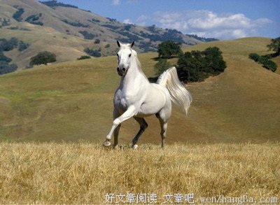 贪得无厌的语句摘抄_关于贪得无厌的语句