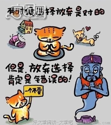 最全的猫语猫寻15句经典名言
