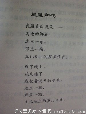 最经典的《星星上的花》小说句子