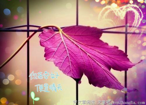 描写柳飘的语句摘抄