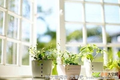 关于野火烧不尽的座右铭