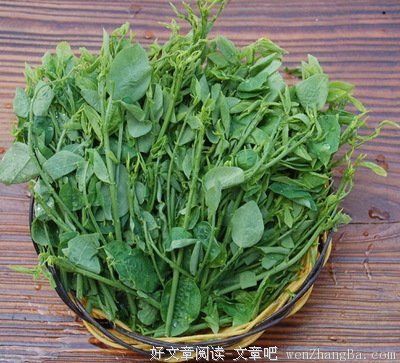 关于眼花缭乱的语句