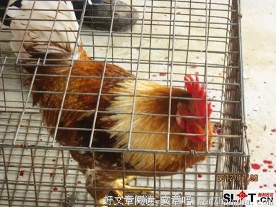 不知道现在流行什么？这个冬天，有它们就够了！