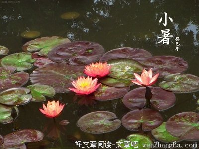 《王子与贫儿》读后感精选10篇