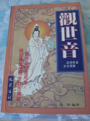 野菩萨读后感10篇