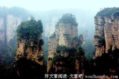 对不起，你不是我要找的人 | 大龙的睡前悄悄话