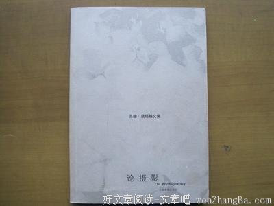 最新的苏珊·桑塔格经典语录