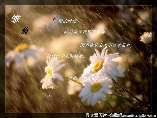 千江的名句_关于千江的名句