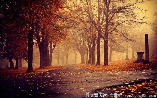 秋风落叶