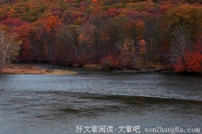 我在飘雨的杭城，遥望北国家乡的皑皑白雪