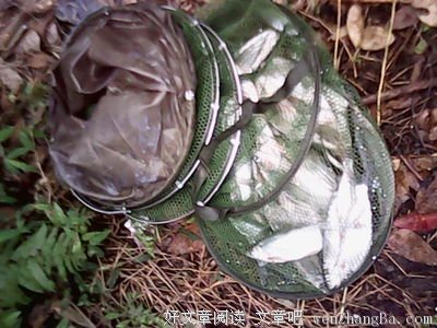 有本事，你也努力一把试试