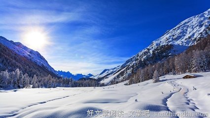 【传家日历】小寒：一候雁北乡，二候鹊始巢，三候雉始雊