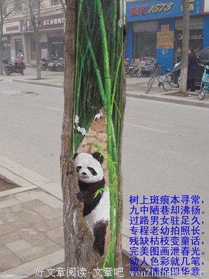 树洞告白|你爱的人飞跃天涯 爱你的人等你回家