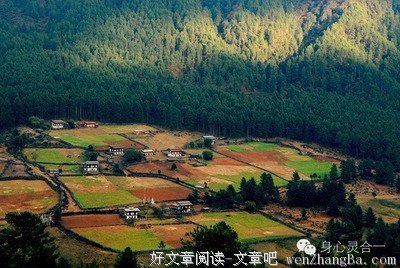 退休后过这样的生活，才算是人生中最为精华的日子