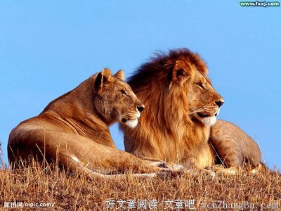 御手洗浊的流浪读后感10篇