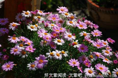 《玛格丽特》观后感精选10篇