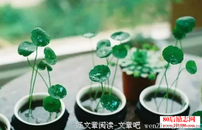 婆媳故事 |婆婆，我对你忍让，不代表我真的好欺负