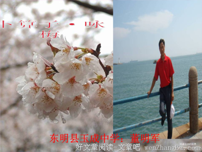 最经典的楼船汀雪名句欣赏