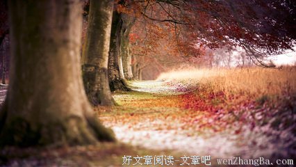 关于无所畏惧的名句摘抄