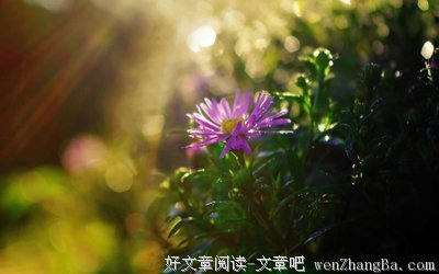 最新的《莫失莫忘》好段摘抄