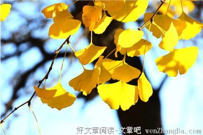 描写废寝忘食的语句摘抄