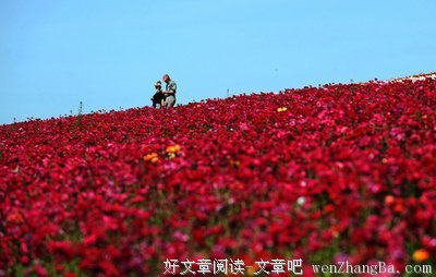 最经典的《愿来日再续》经典的句子
