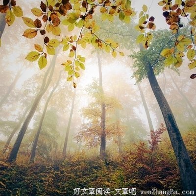 最经典的《快乐就好日志总管》名句欣赏大全