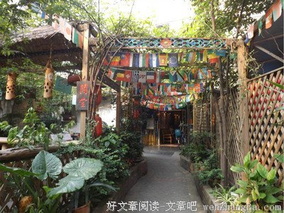 一个人的清欢