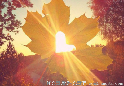 一个人不开心的真正原因：智慧不够
