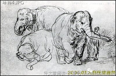 伦勃朗1642读后感精选10篇
