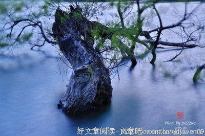 关于大悲大喜的名言