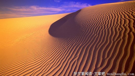 最经典的《沙海》佳句摘抄