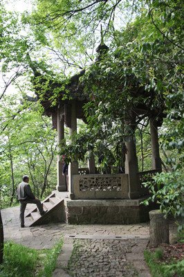讨山记经典读后感10篇