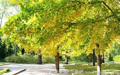 《一日一生》经典读后感10篇