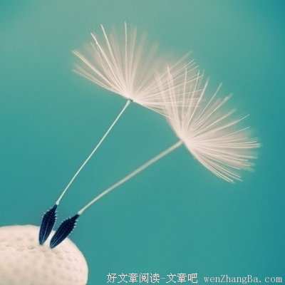 一去不返的句子