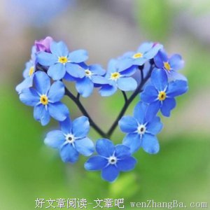 最新的《青城》经典的句子大全