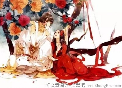 关于桐华的唯美语录