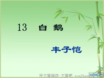 最新的《以自己喜欢的方式过一生》佳句摘抄