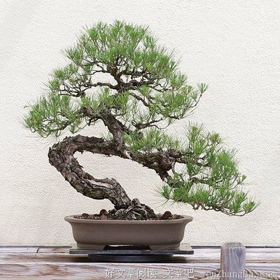 层次越高的人，越不会丢掉这种素养