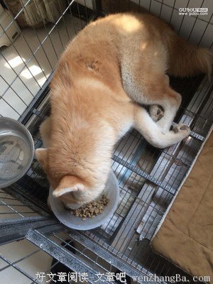 喂，你能不能“轻”一点？