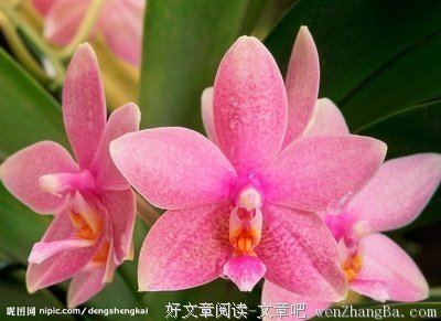 女人学会这八件事，才能过好一生
