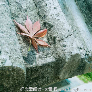 最经典的简嫃名言名句