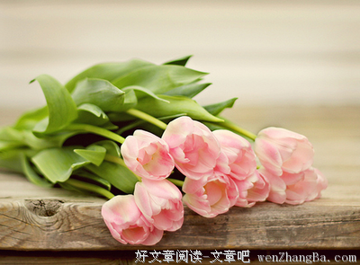 感人至深的句子