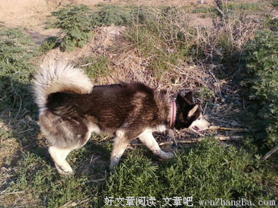 深夜打车70次，我见过这个城市最没有防备的一面