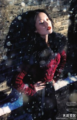 最全的《雪国》经典句子大全