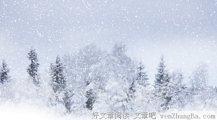 描写梅花香自苦寒来的语句摘抄